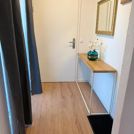 Apartment Elsa Steinen (Lorrach)